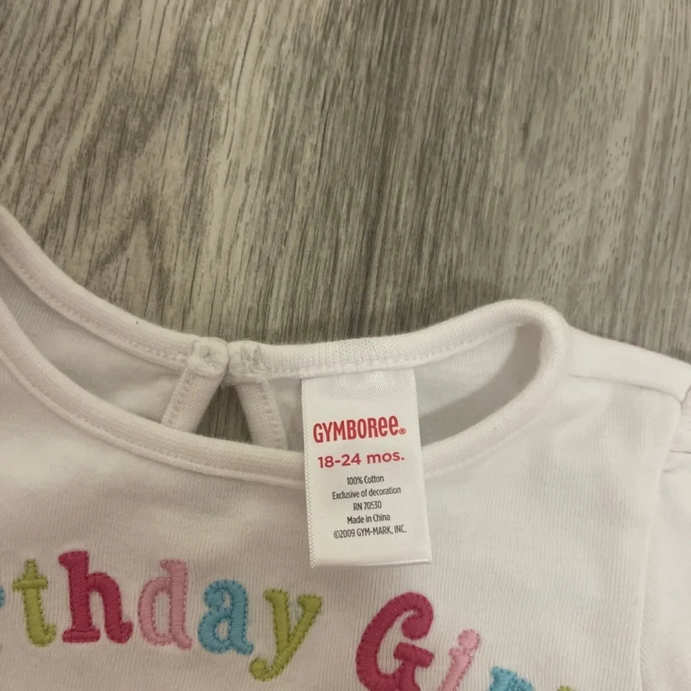 Gymboree Birthday Girl 18-24 Months Outfit